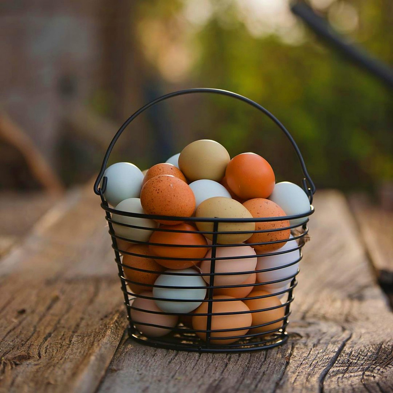 One Dozen Organic Eggs